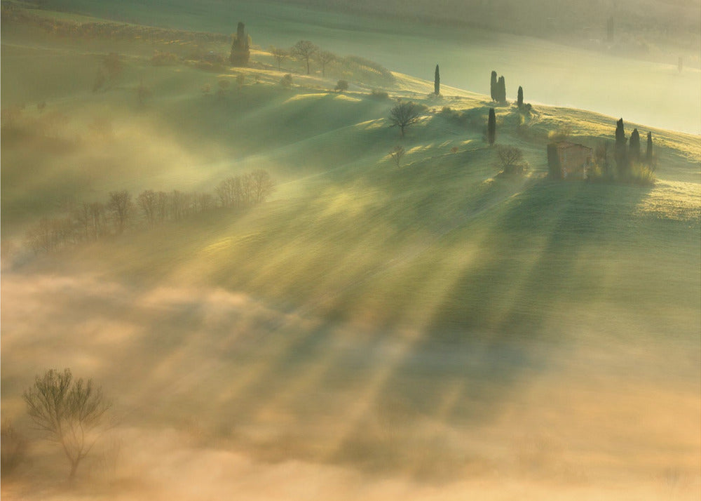 Mist... | Wallpaper
