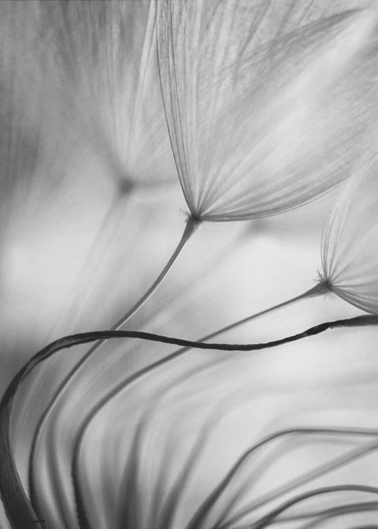 Lean on me | Canvas