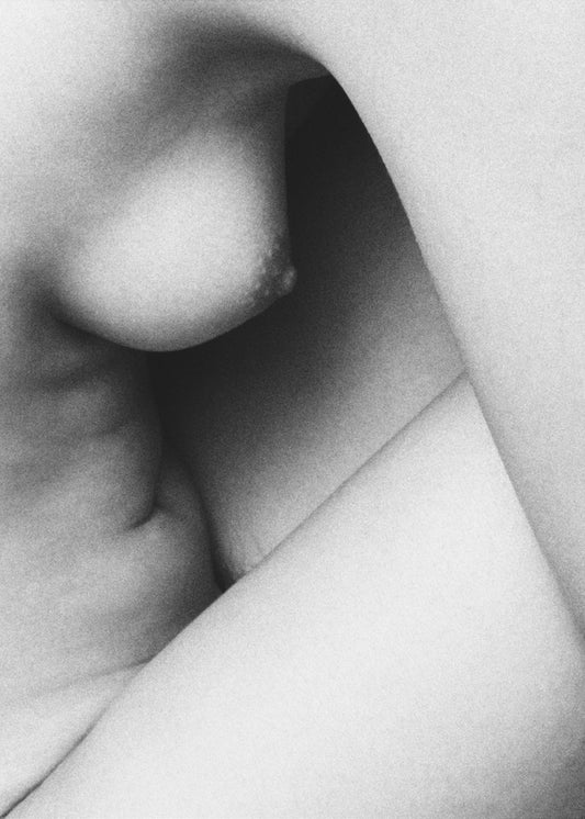 Shapes | Canvas
