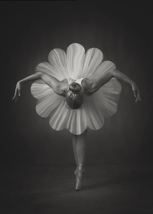 Ballet floral | Tableaux sur Toile