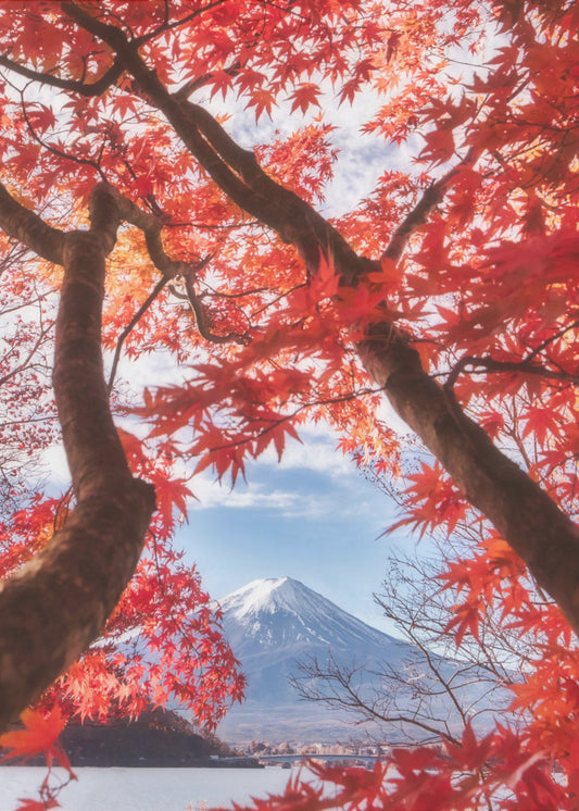 Der Fuji ist im Herbstlaub gehalten | Leinwand-Bilder