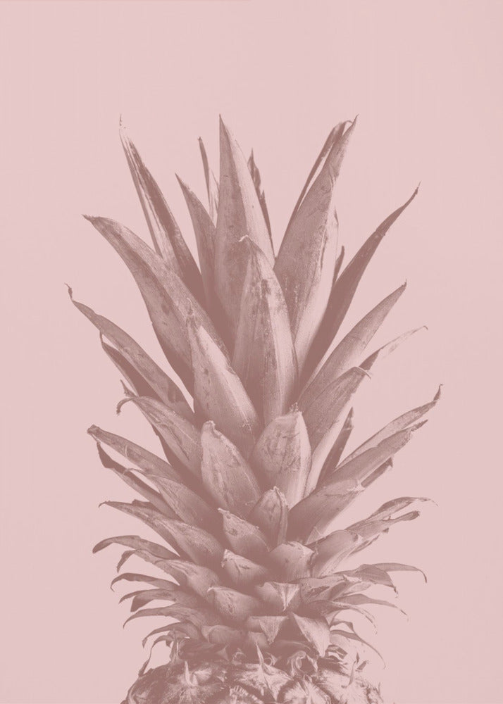 Ananasrosa 05 | Plakater - Kunsttrykk