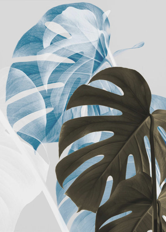 Monstera Kreativ 02 | Canvastavla