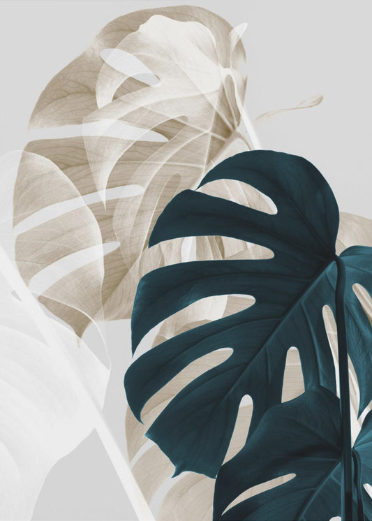 Monstera Creative 05 | Poster