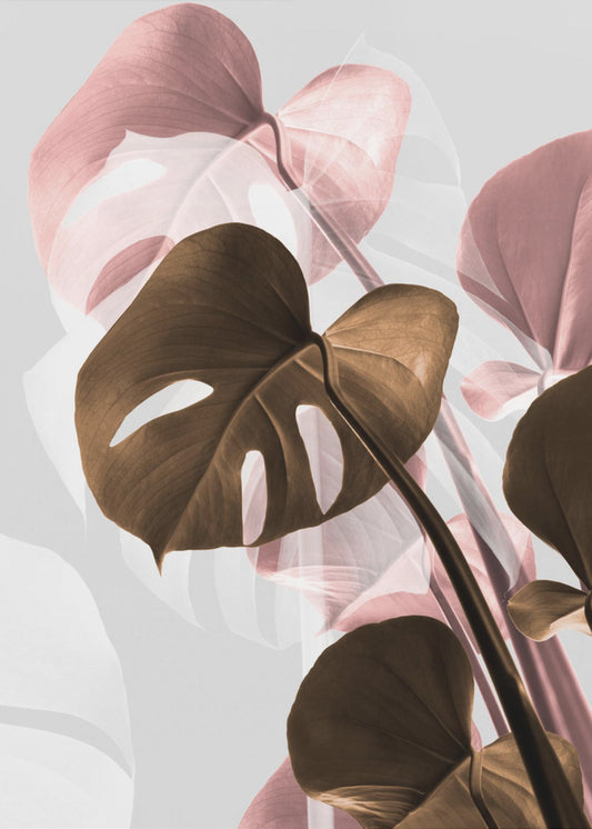 Monstera Creative 11 | Canvas