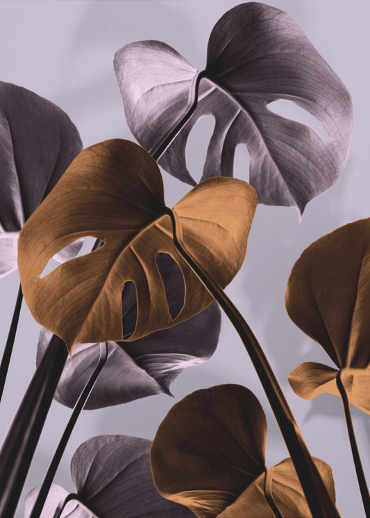 Monstera Lila 01 | Canvas