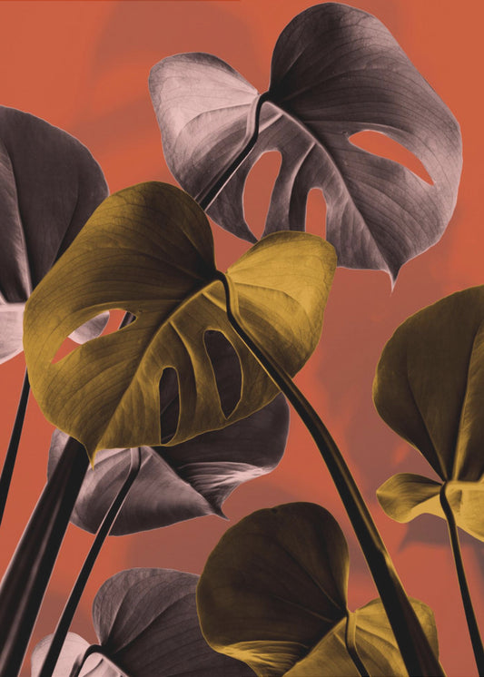 Monstera Orange 01 | Canvastavla
