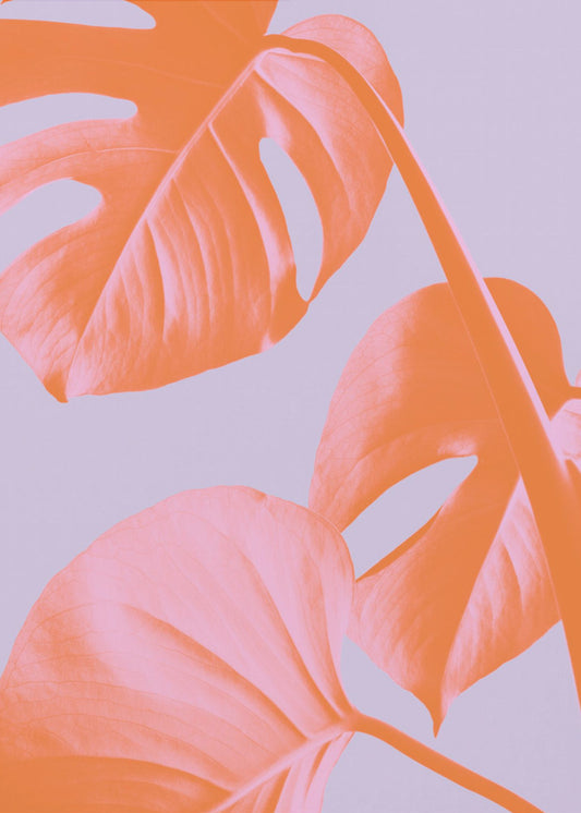 Monstera Lila 03 | Canvas