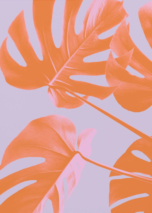 Monstera Lila 04 | Canvasduk