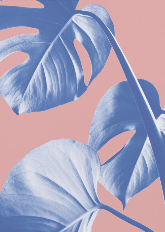 Monstera Lila 05 | Canvas