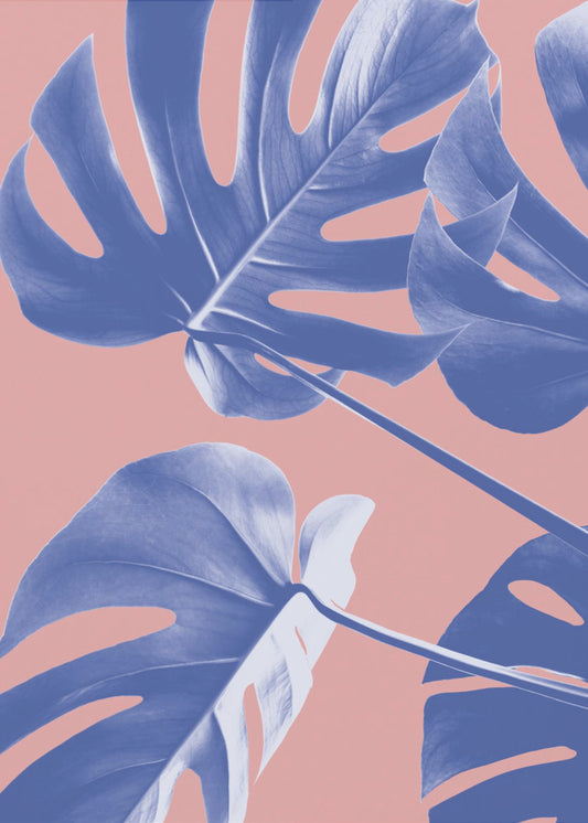 Monstera Lila 06 | Canvas