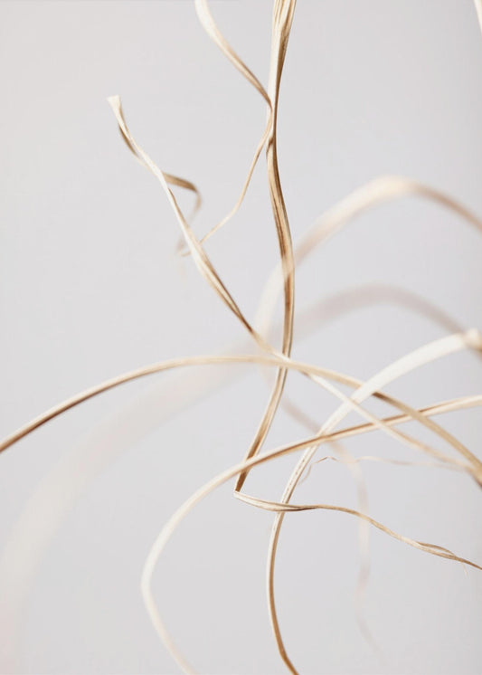 Dried Grass Grey 02 | Poster