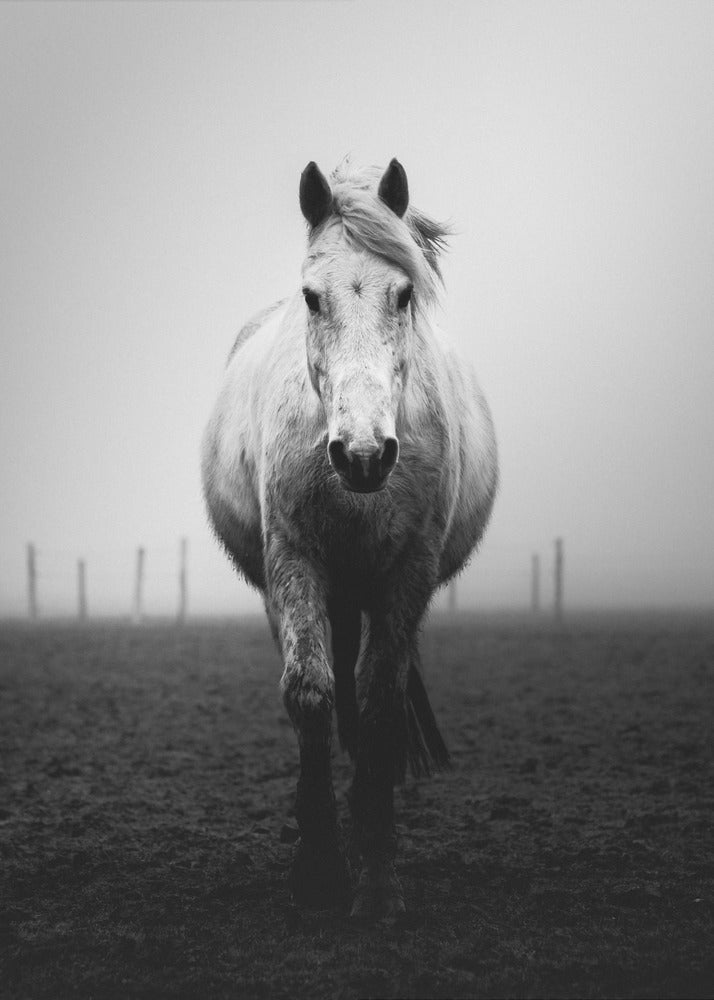 Självförtroende | Canvas