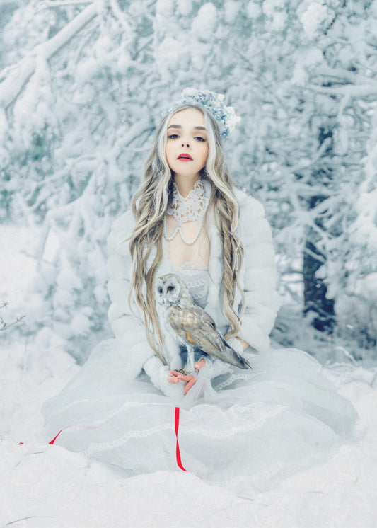 Snowbound Serenity | Canvas