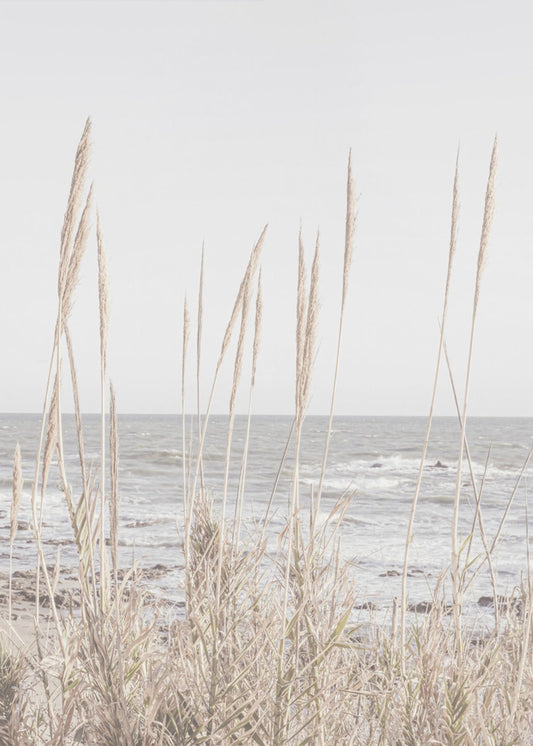 Beach_Vass_001 | Leinwand-Bilder