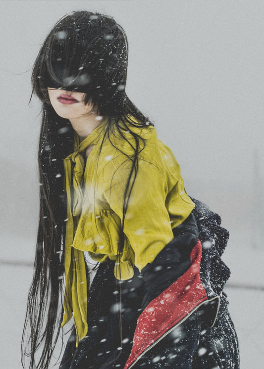 The beginning of snow | Canvas