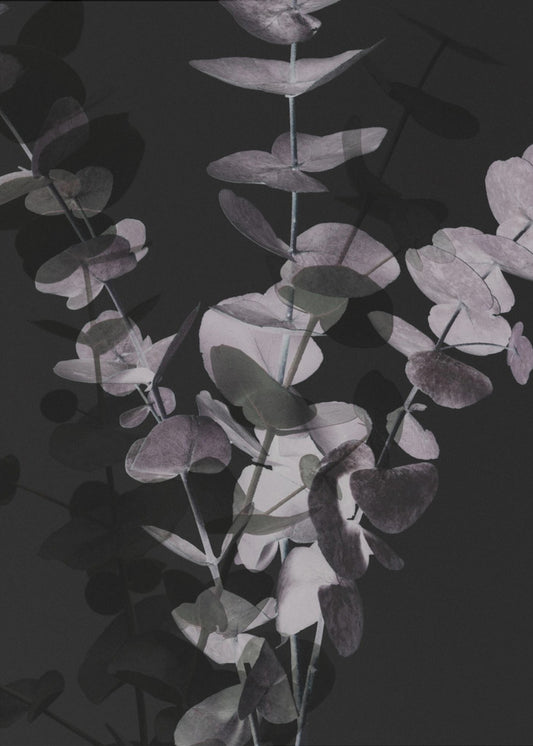 Eucalyptus_Negative_001 | Poster