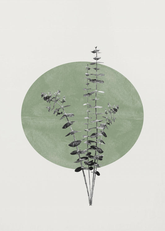 Eucalyptus and Green Moon | Canvas