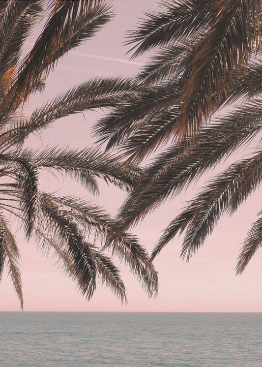 Palm_011 | Affisch