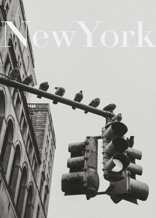 NYC Doves | Canvas