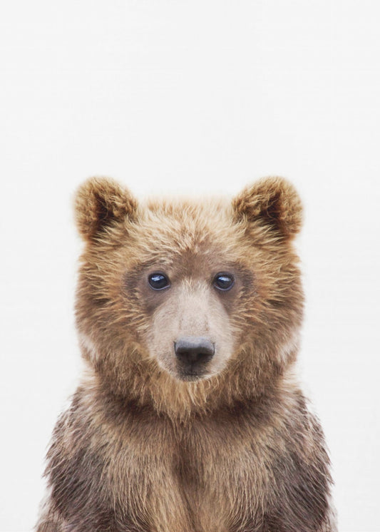 Baby Bear | Poster