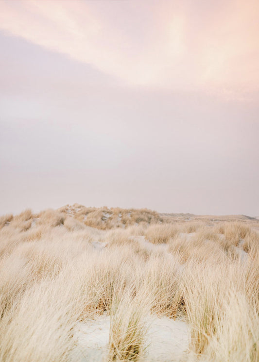 Ameland Dunes 2 | Canvas