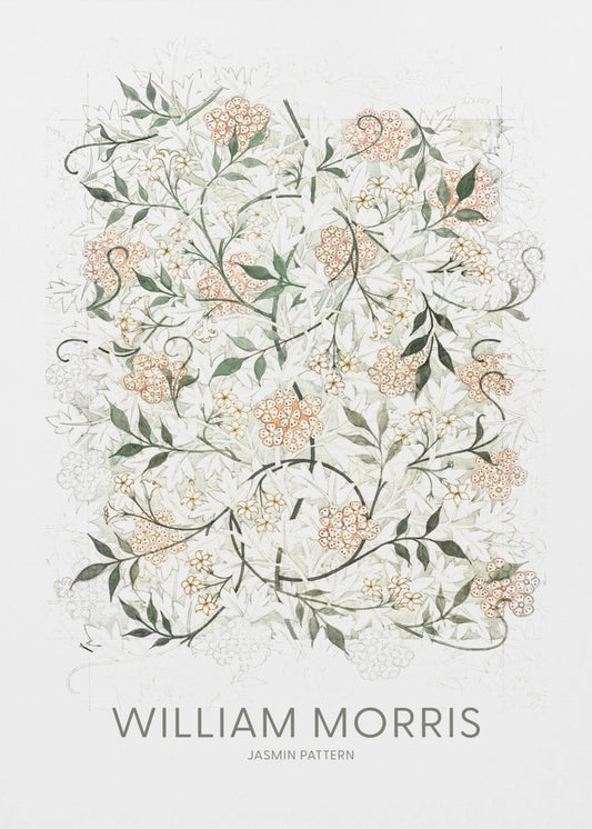 Jasmine | Canvas