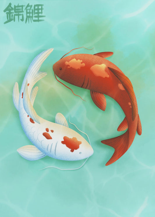 Koi-kjærlighet | Lerretsbilder