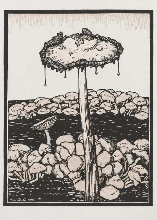 Droppande svamp 1916 | Duk