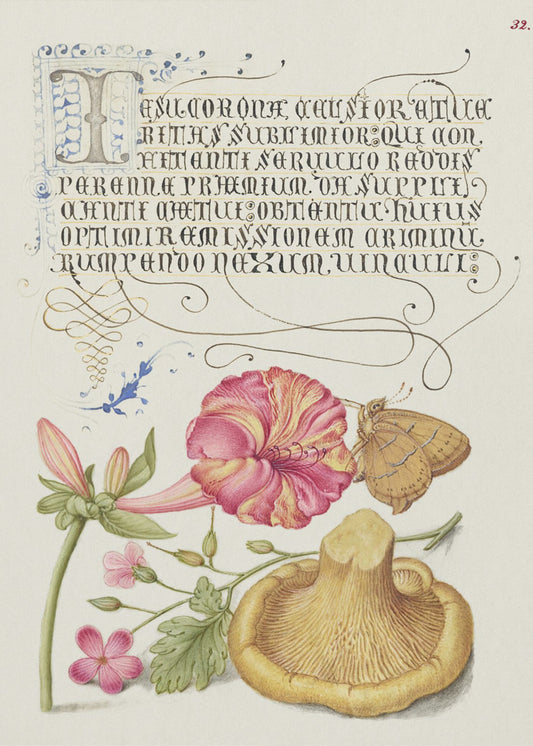 Mira Calligraphiae Monumenta | Duk