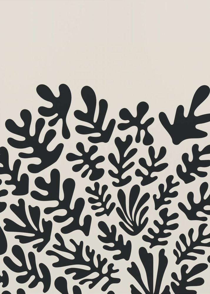 Henri Matisse Black Algae Collection #2 | Canvas