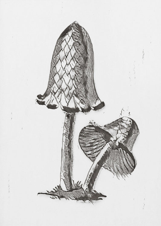 Vintage Inky Cap Ätbar Svamp B/W Ljus | Canvas