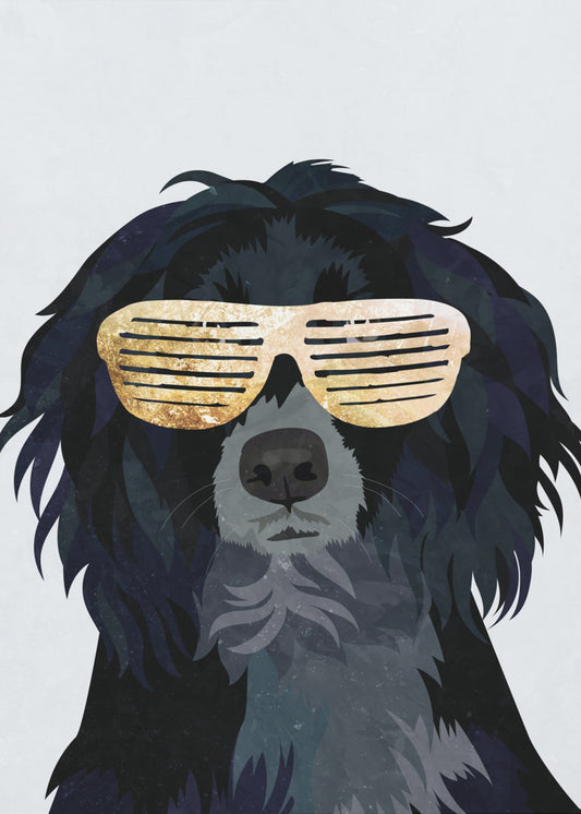 Cockerspaniel hip-hop | Tableaux sur Toile