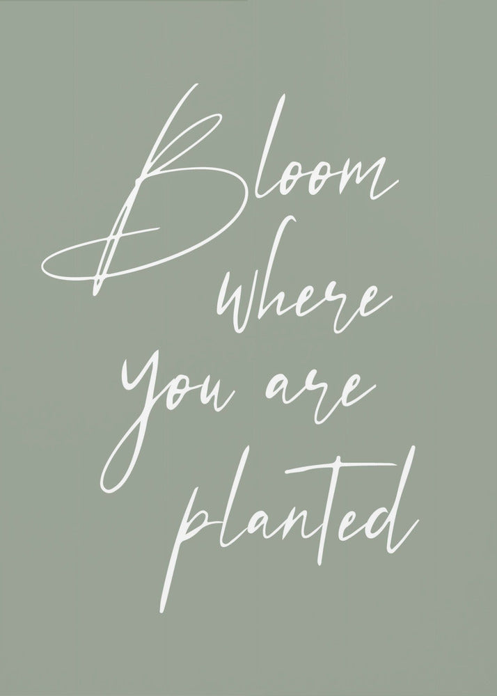 Bloei | Canvasprints