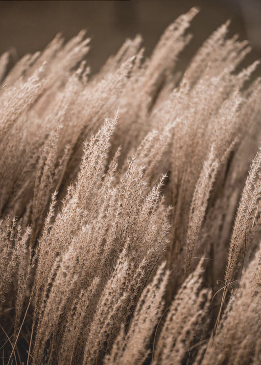Grass 16 | Canvas