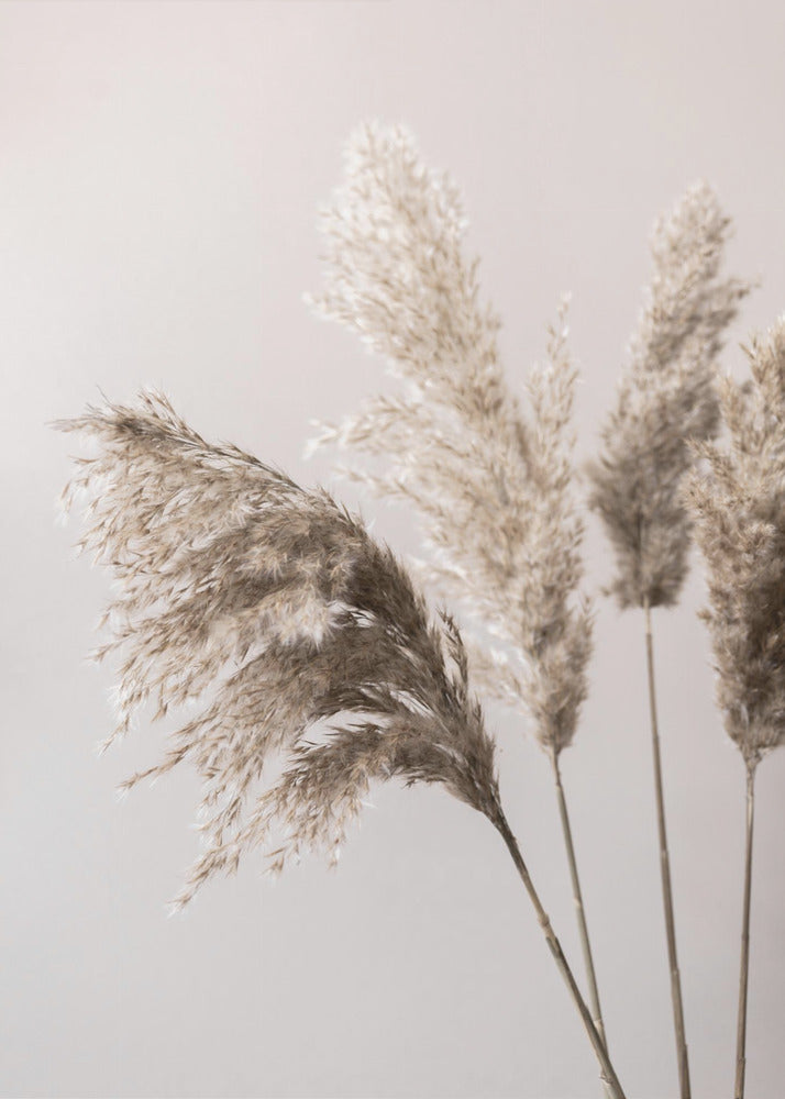 Grass 24X | Canvas