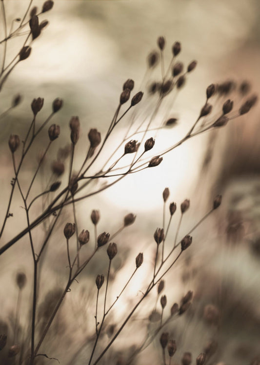 Autumn Lights | Canvas