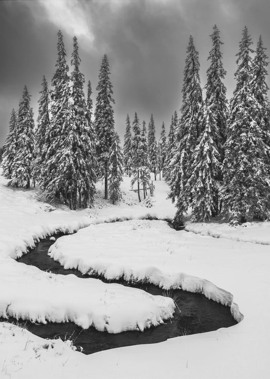 Första snön | Canvasduk
