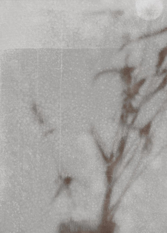 Botanisk silhuett | Canvas