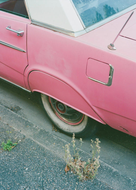 New Orleans Ride X | Canvasduk