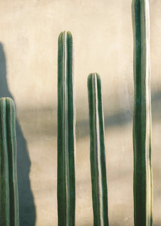 Oaxaca Shades of Green | Mexico travel photography | Canvas