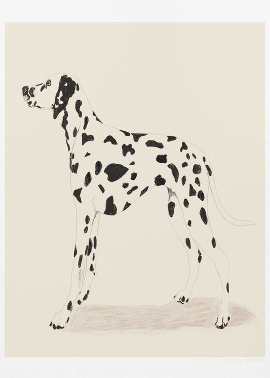 Dalmatien pandémique | Tableaux sur Toile