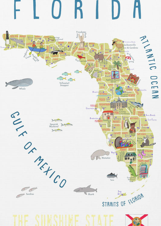 Illustrerad karta över Florida av konstnären Carla Daly | Canvas