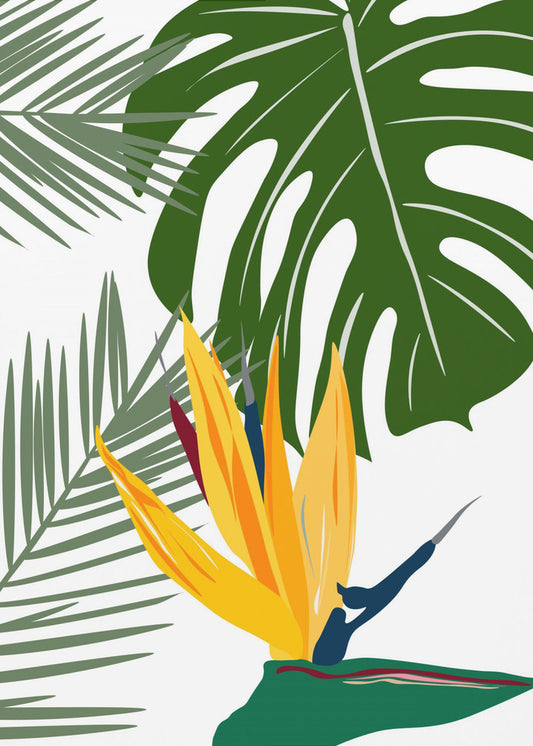Monstera och palma | Poster