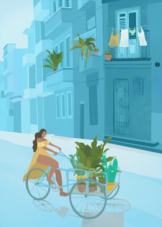 Havanna | Canvas