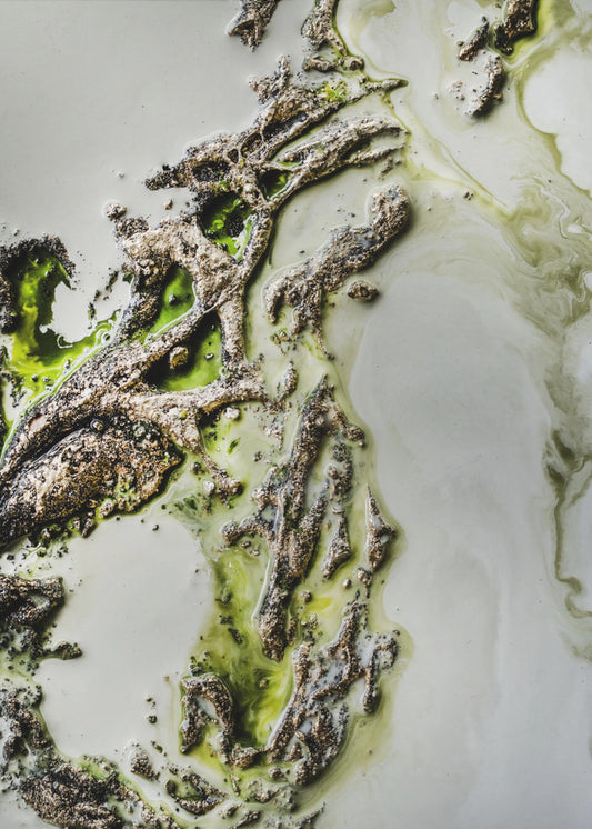 Samtida konst - Olive Enigma - Grön accent | Canvastavla