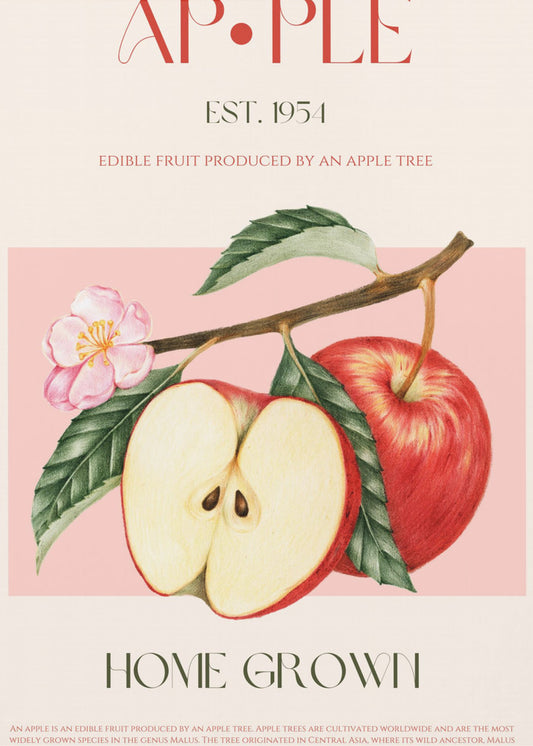 Skördade äpplen | Poster