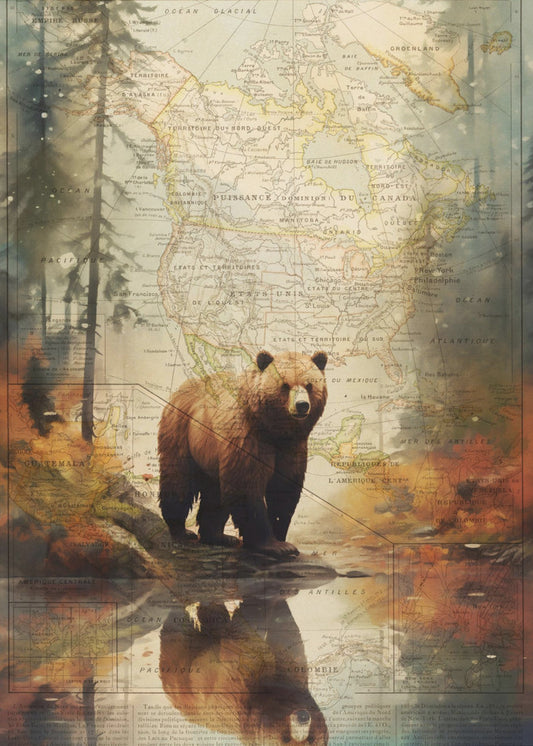 Grizzly 2 | Canvas