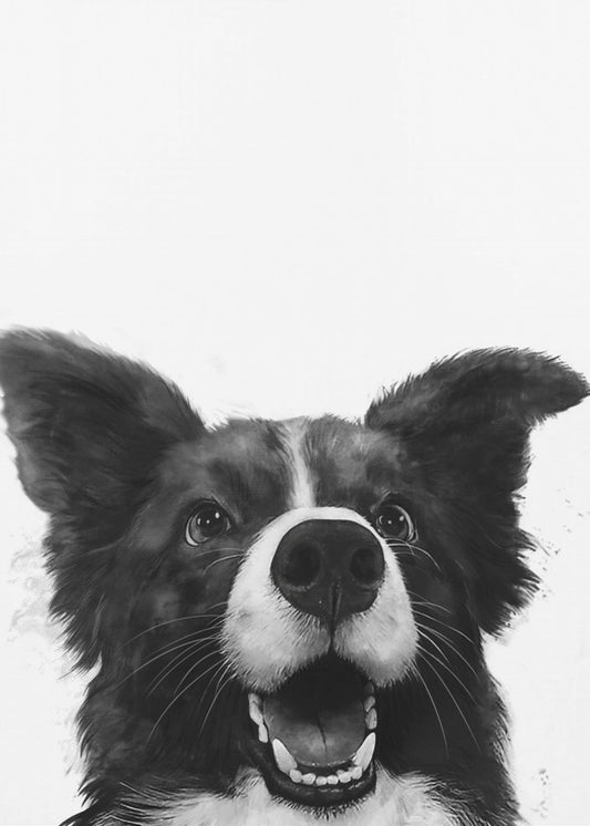 Joyful Canine Gaze | Canvas