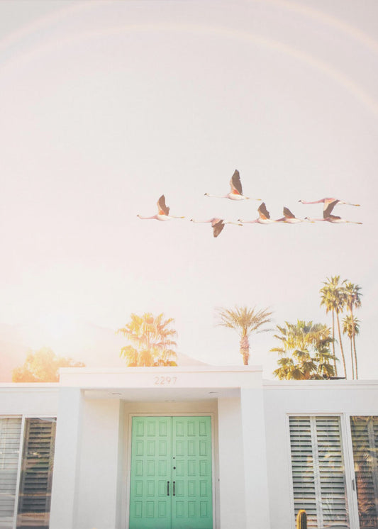 Flamingos i Palm Springs | Canvastavla